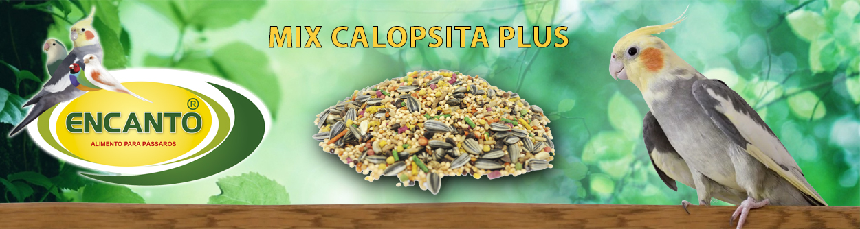 Calopsita Plus